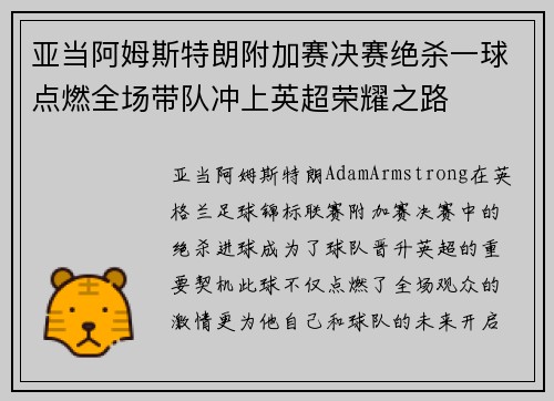 亚当阿姆斯特朗附加赛决赛绝杀一球点燃全场带队冲上英超荣耀之路