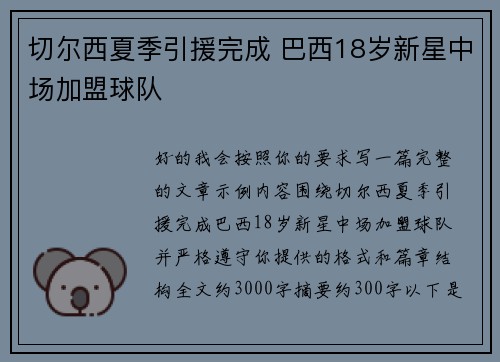 切尔西夏季引援完成 巴西18岁新星中场加盟球队