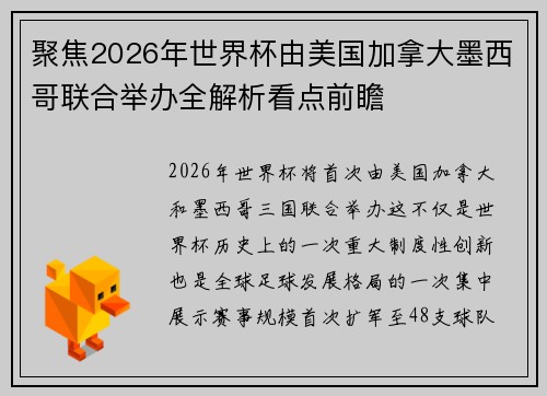 聚焦2026年世界杯由美国加拿大墨西哥联合举办全解析看点前瞻