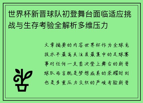 世界杯新晋球队初登舞台面临适应挑战与生存考验全解析多维压力